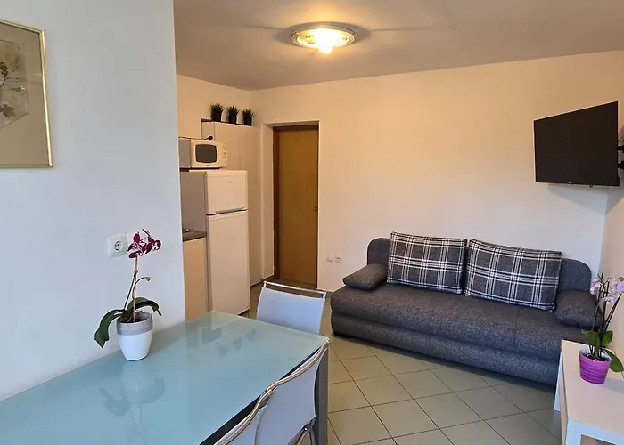Carmen Apartament *